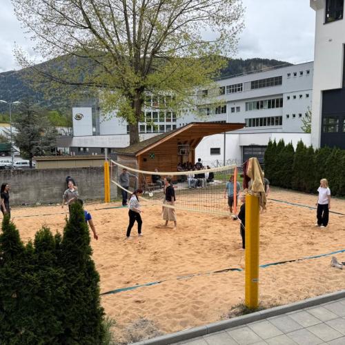Volleyball