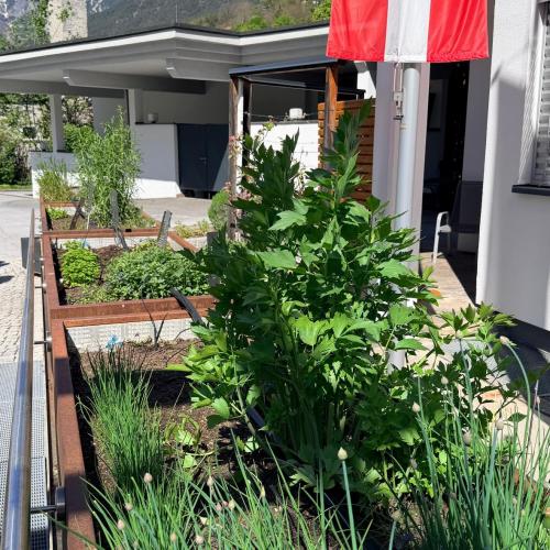Kräutergarten2