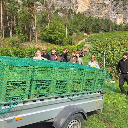 Weingut Zoller
