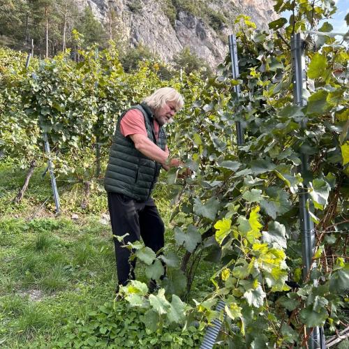 Weingut Zoller