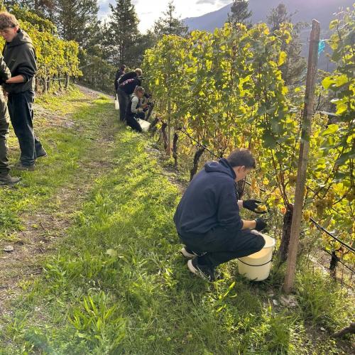 Weingut Zoller