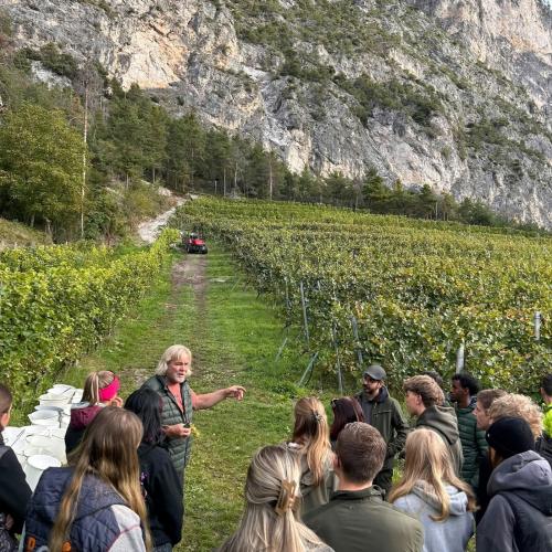 Weingut Zoller