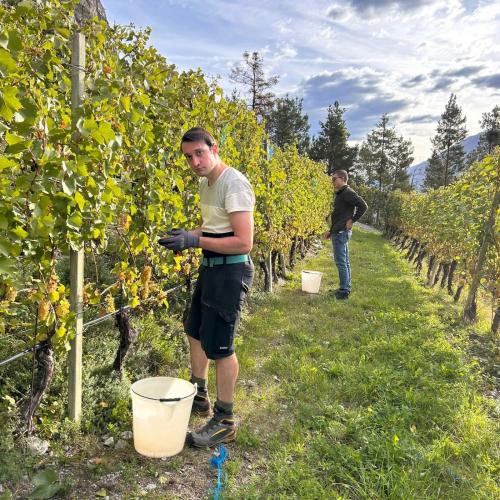 Weingut Zoller